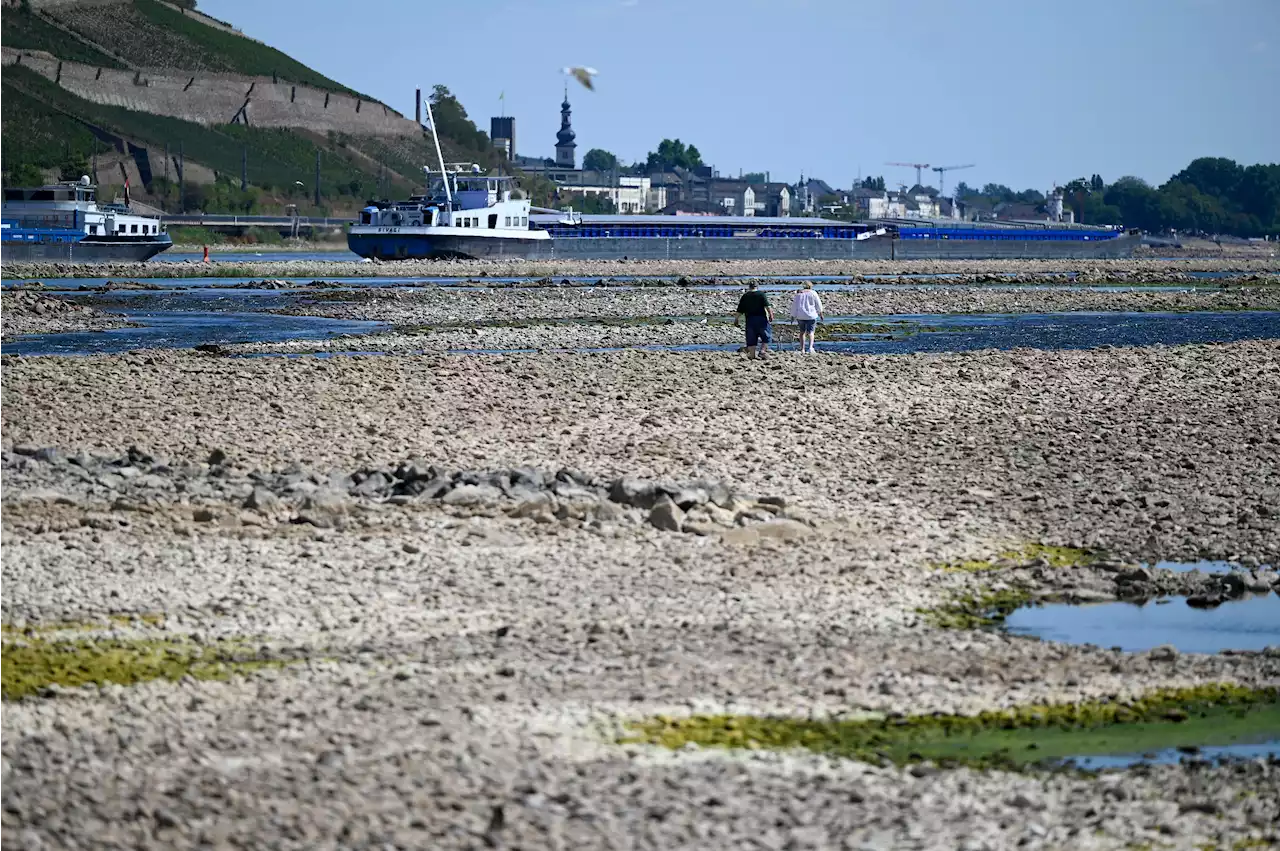 Koblenz - Nur noch 36 Zentimeter Flusspegel prognostiziert - Schiffskonvoi bei 'Rhein in Flammen' abgesagt