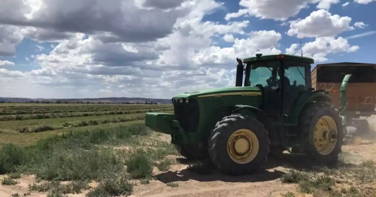 FOX 13 Investigates: Utah's top cash crop is consuming most of our water