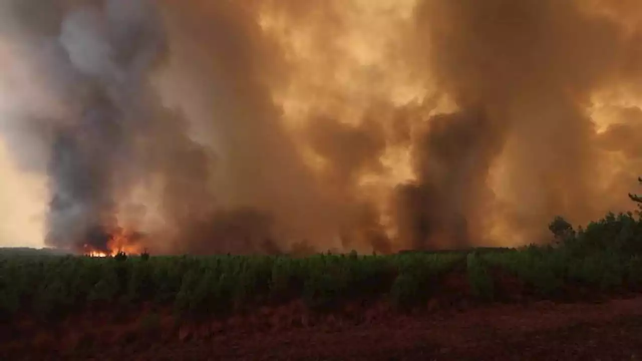 Video: Wildfires rage in France, thousands evacuated