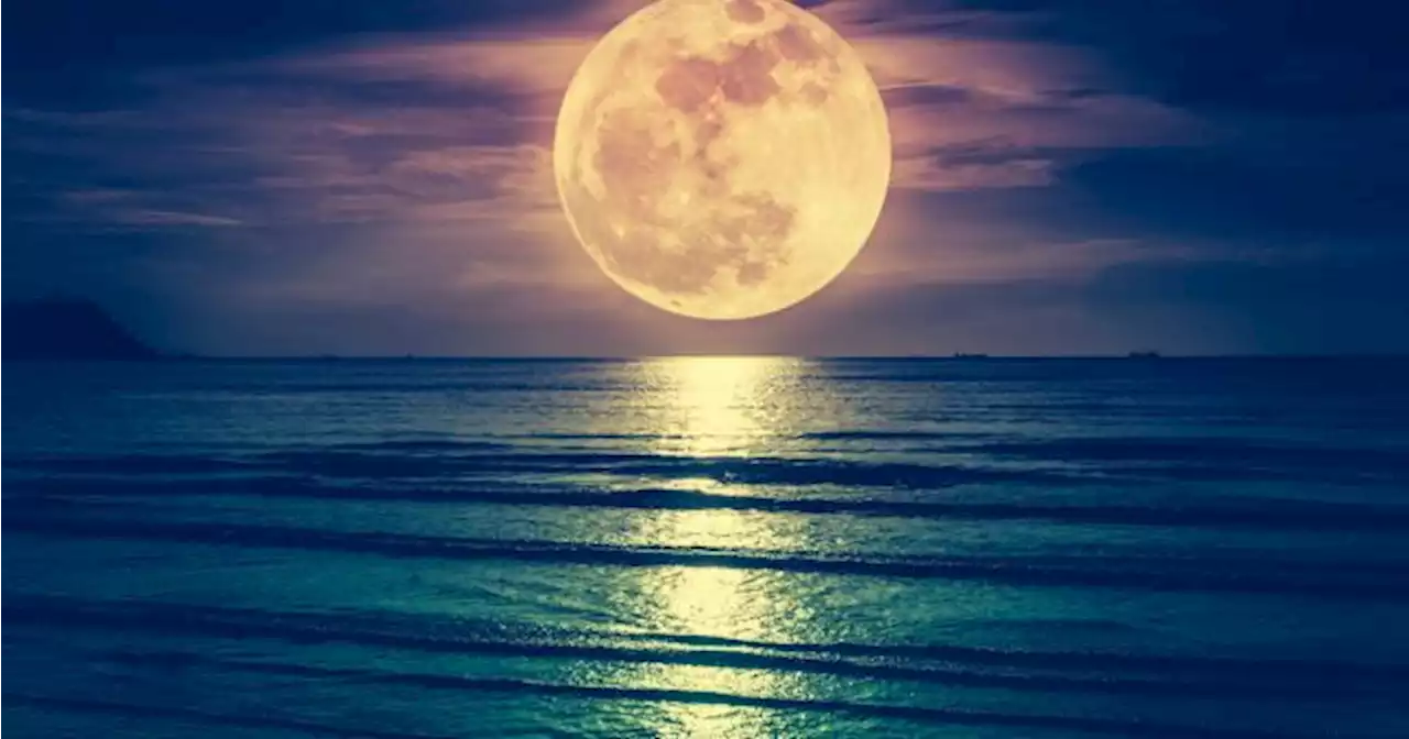 Irish people could be treated to spectacular sights in the sky over the next few nights | JOE.ie