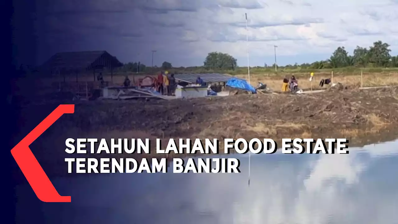 Masuk Program Food Estate, Petani di Desa Bentuk Jaya Mengeluh Akibat Banjir Tidak Bisa Menanam