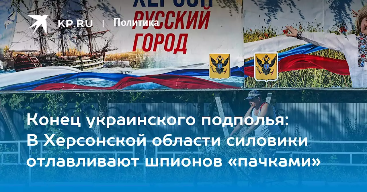 Конец украинского подполья: В Херсонской области силовики отлавливают шпионов «пачками»