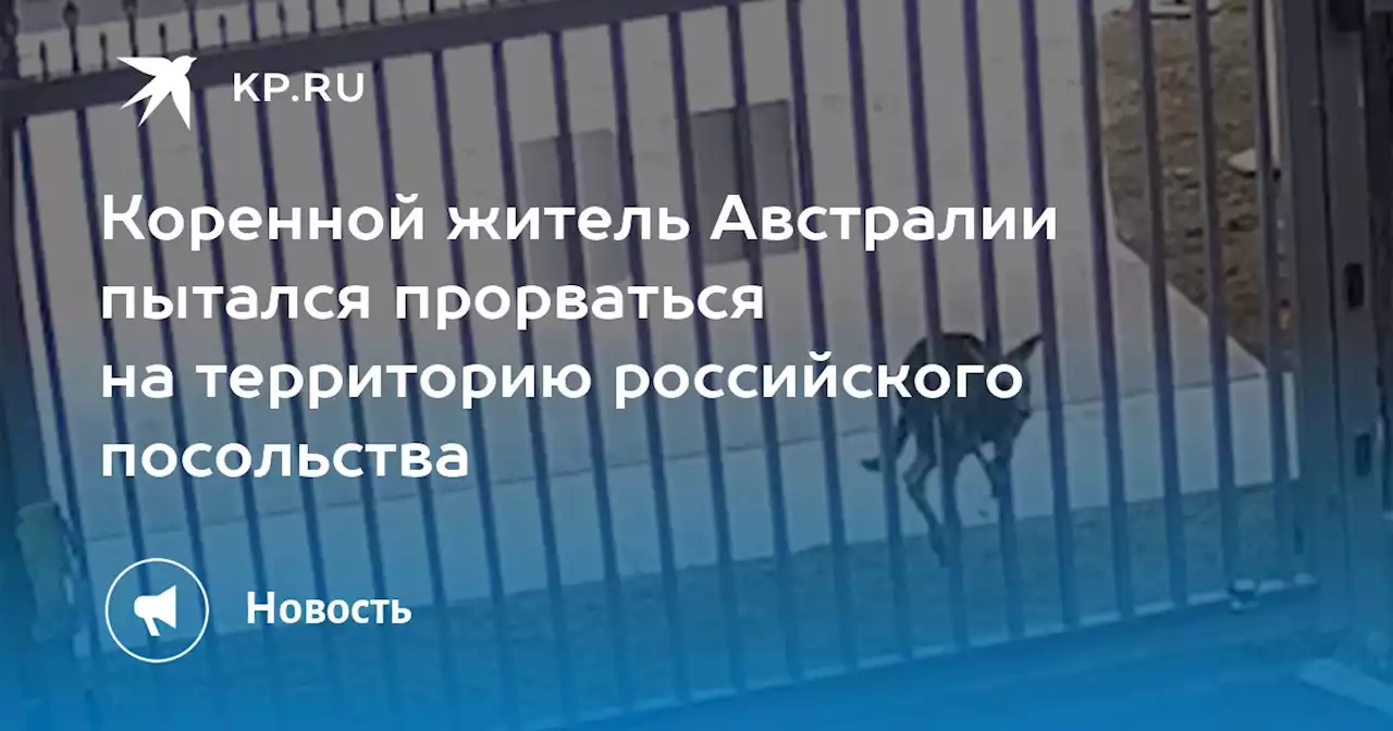Коренной житель Австралии пытался прорваться на территорию российского посольства