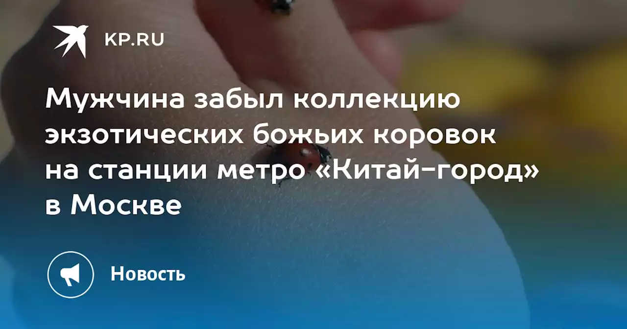 Мужчина забыл коллекцию экзотических божьих коровок на станции метро «Китай-город» в Москве
