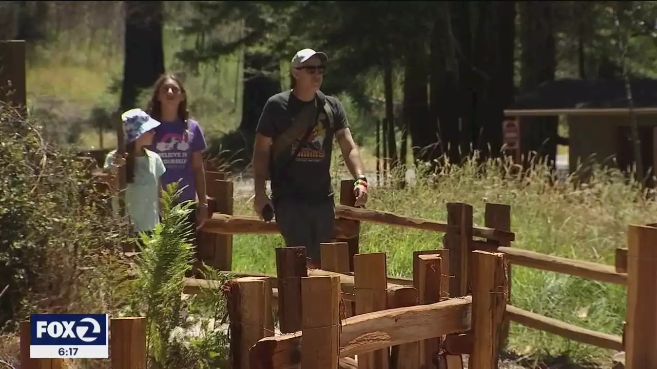 Two years later, Big Basin Redwoods State Park bounces back from CZU fire