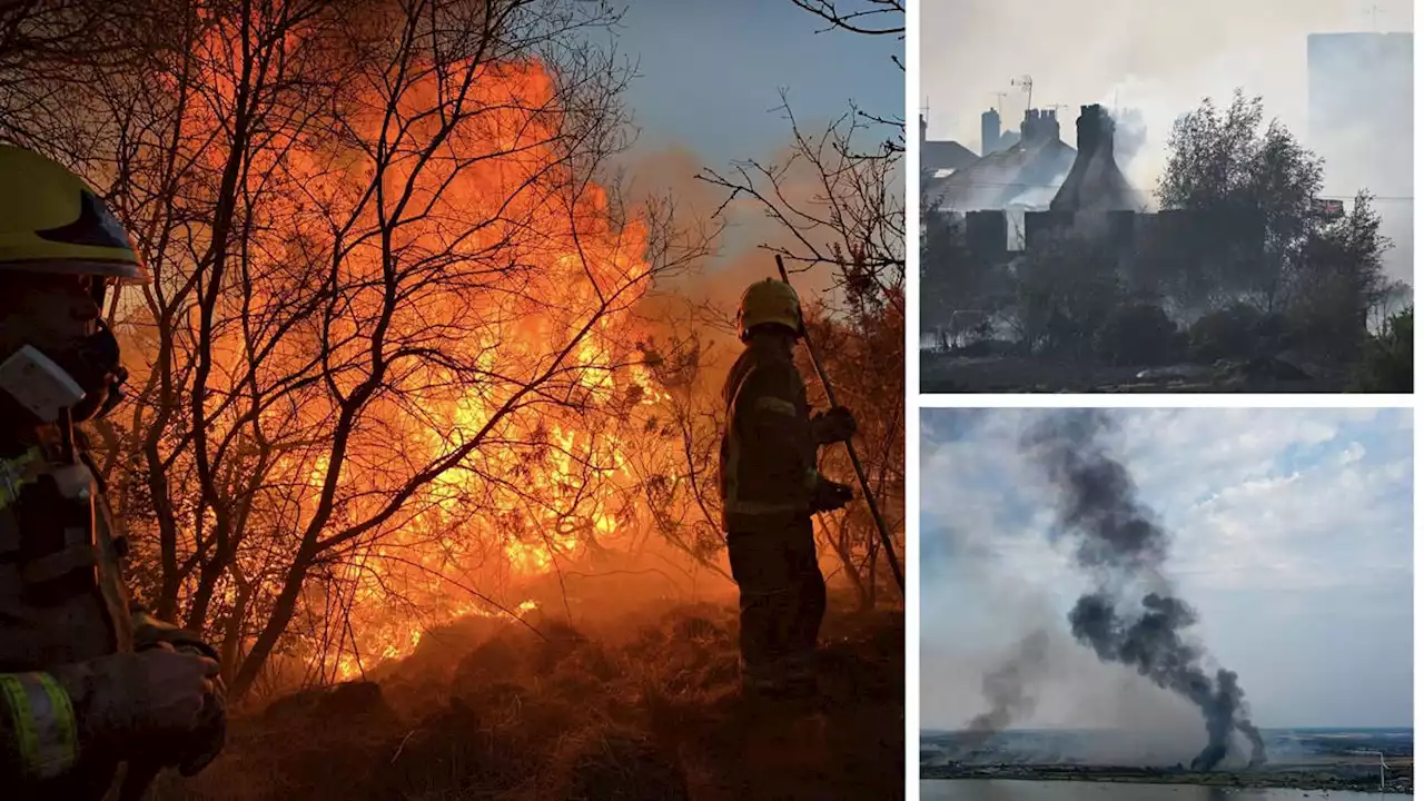 'Exceptional' risk of wildfires as Britain faces heatwave that could be worse than 40C weather in July