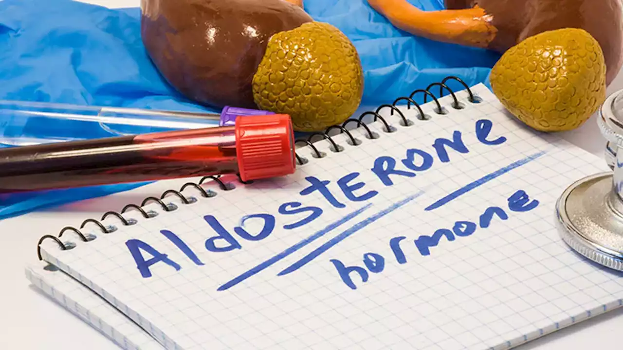 High Aldosterone Levels Increase Risk for CKD Progression