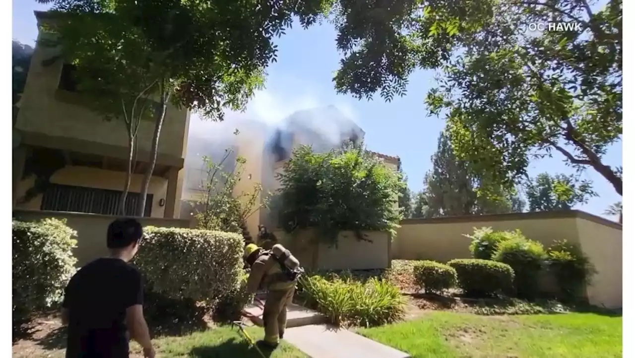 California man turned wasp spray into blowtorch, setting fire to balcony