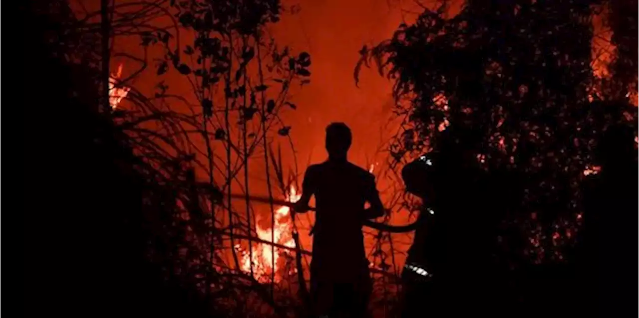 506 Hektare Perbukitan Danau Toba Alami Kebakaran, Diduga Demi Buka Lahan | merdeka.com