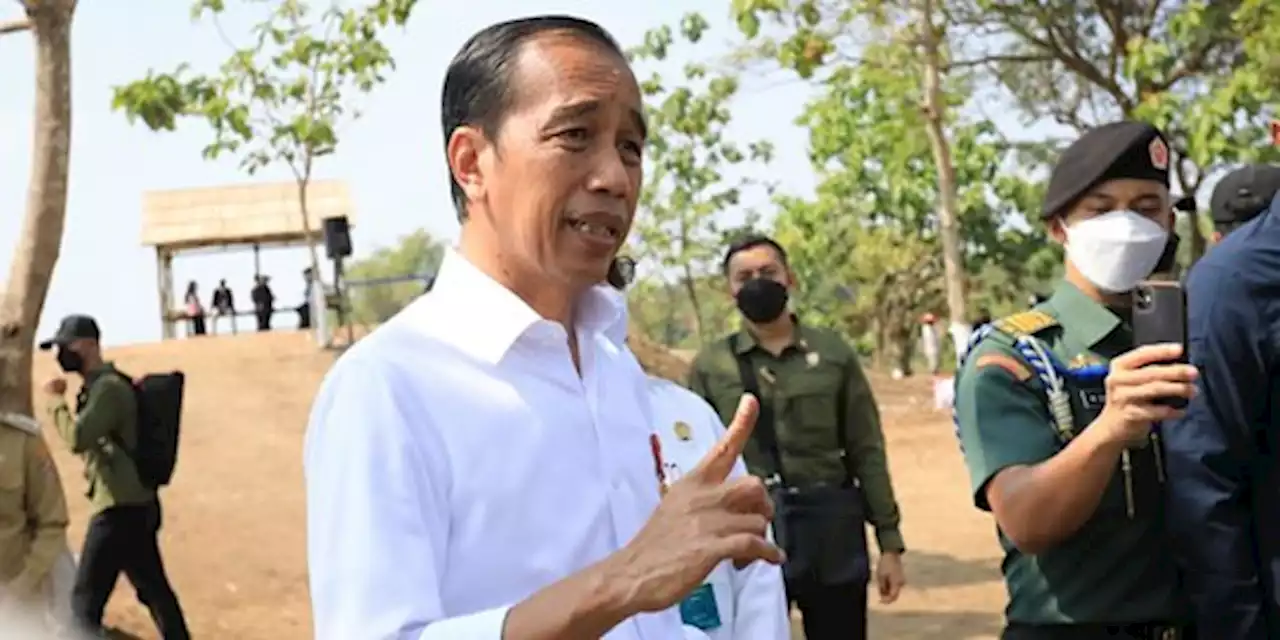 Tanam Kelapa Genjah, Jokowi Ingatkan Pentingnya Jaga Pasokan Pangan Nasional | merdeka.com