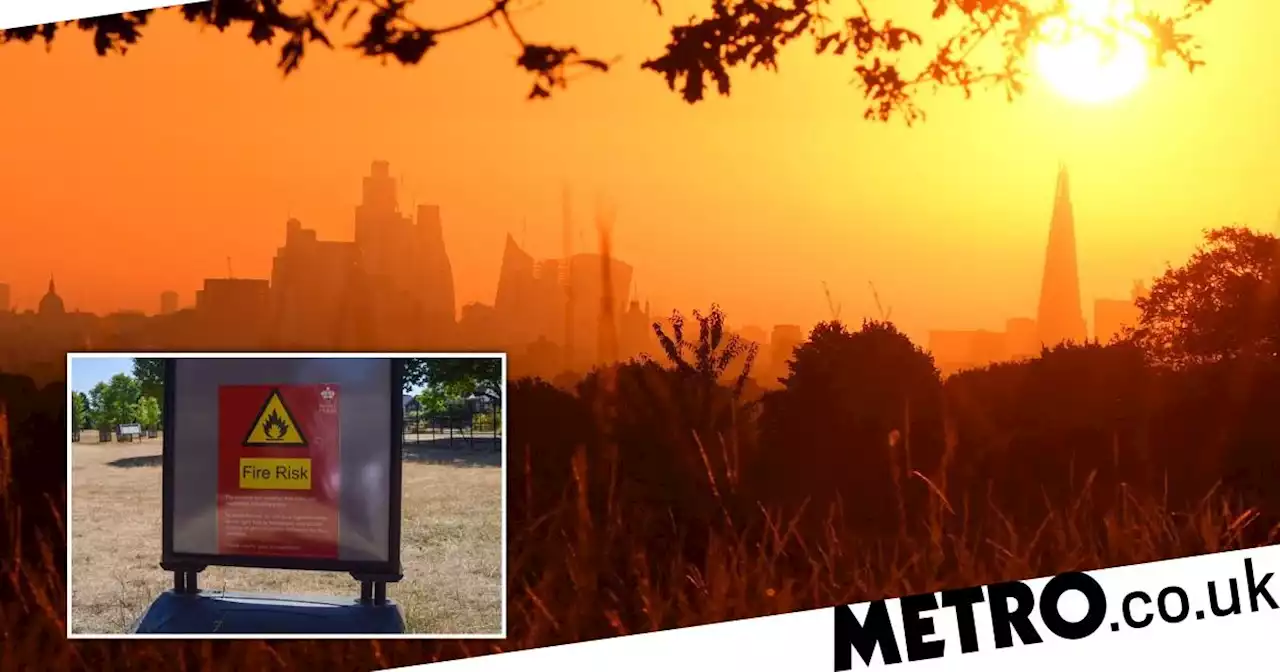 Four-day heat alert begins with parts of UK facing 'exceptional' wildfires risk