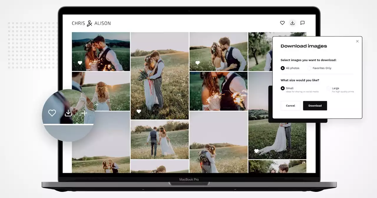 Bloom's New Photo Gallery and Proofing System is Totally Free