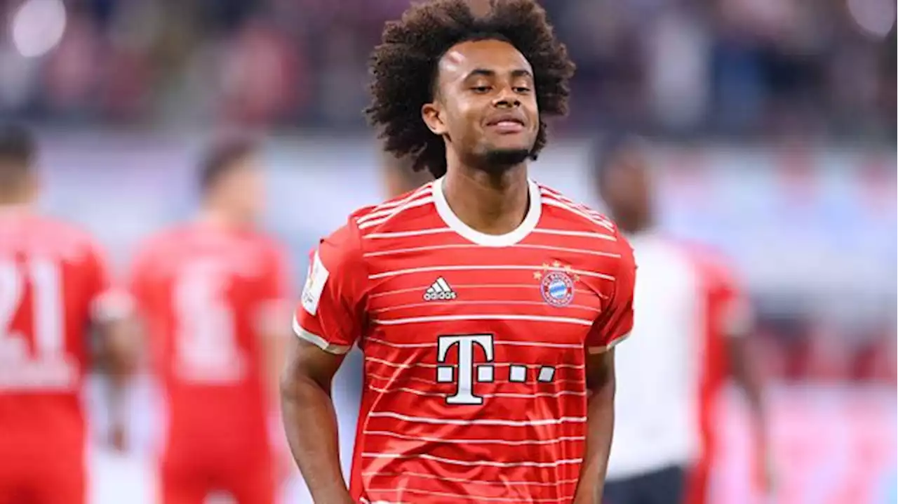 Bundesliga - FC Bayern München - Transfers und News: Stuttgart will Zirkzee offenbar als Kalajdzic-Ersatz