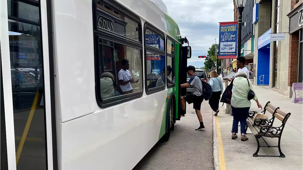 Charlottetown, P.E.I. transit sees record ridership, but crowding, demand becoming issues | SaltWire