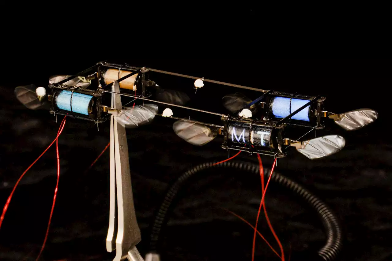 MIT’s Tiny Robotic Lightning Bugs Take Flight