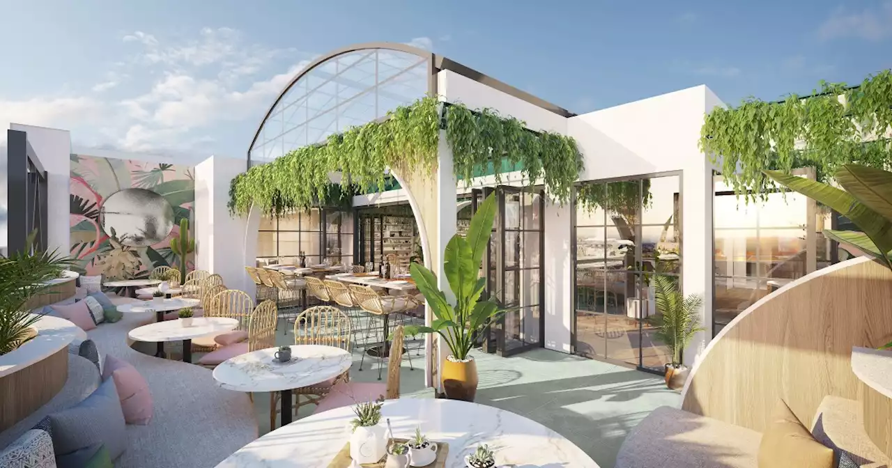 Two new Oceanside rooftop bars lead list of latest restaurant openings