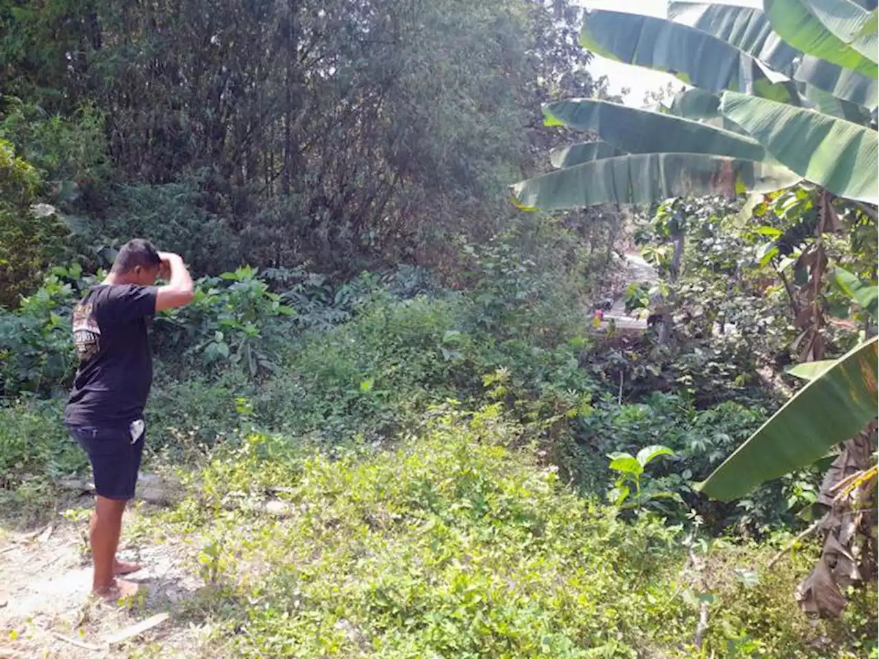 Pemerintah Pusat Setujui Perbaikan 5 Jalan di Kawasan Sangiran, Tapi...