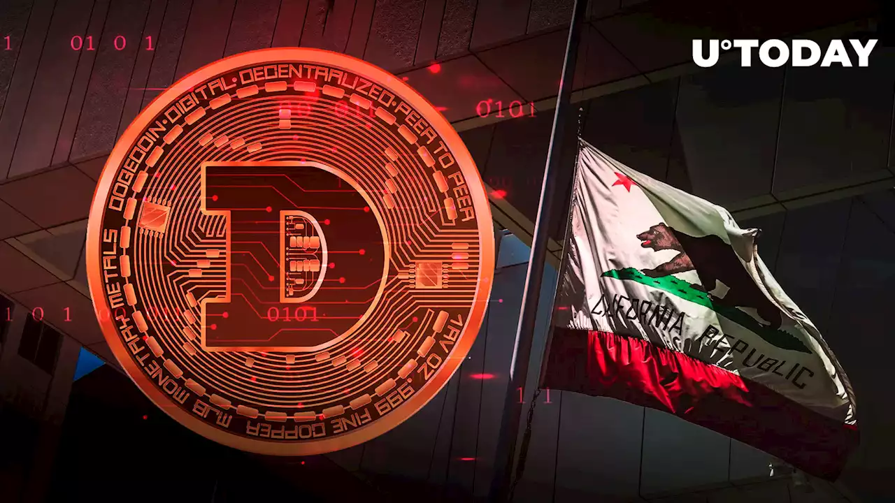 California Tech Mogul Slams Dogecoin as One of Elon Musk's Scams