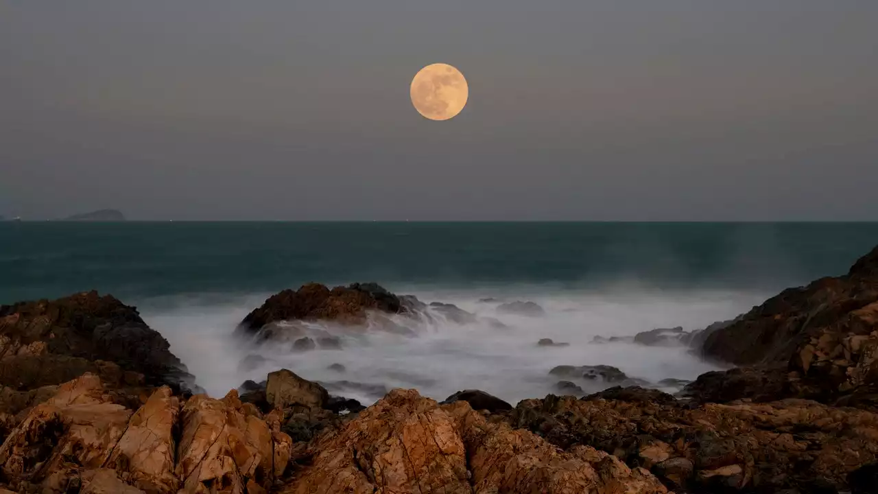 Vollmond im August 2022: Diese Veränderungen bringt Ihnen der Mond im Wassermann