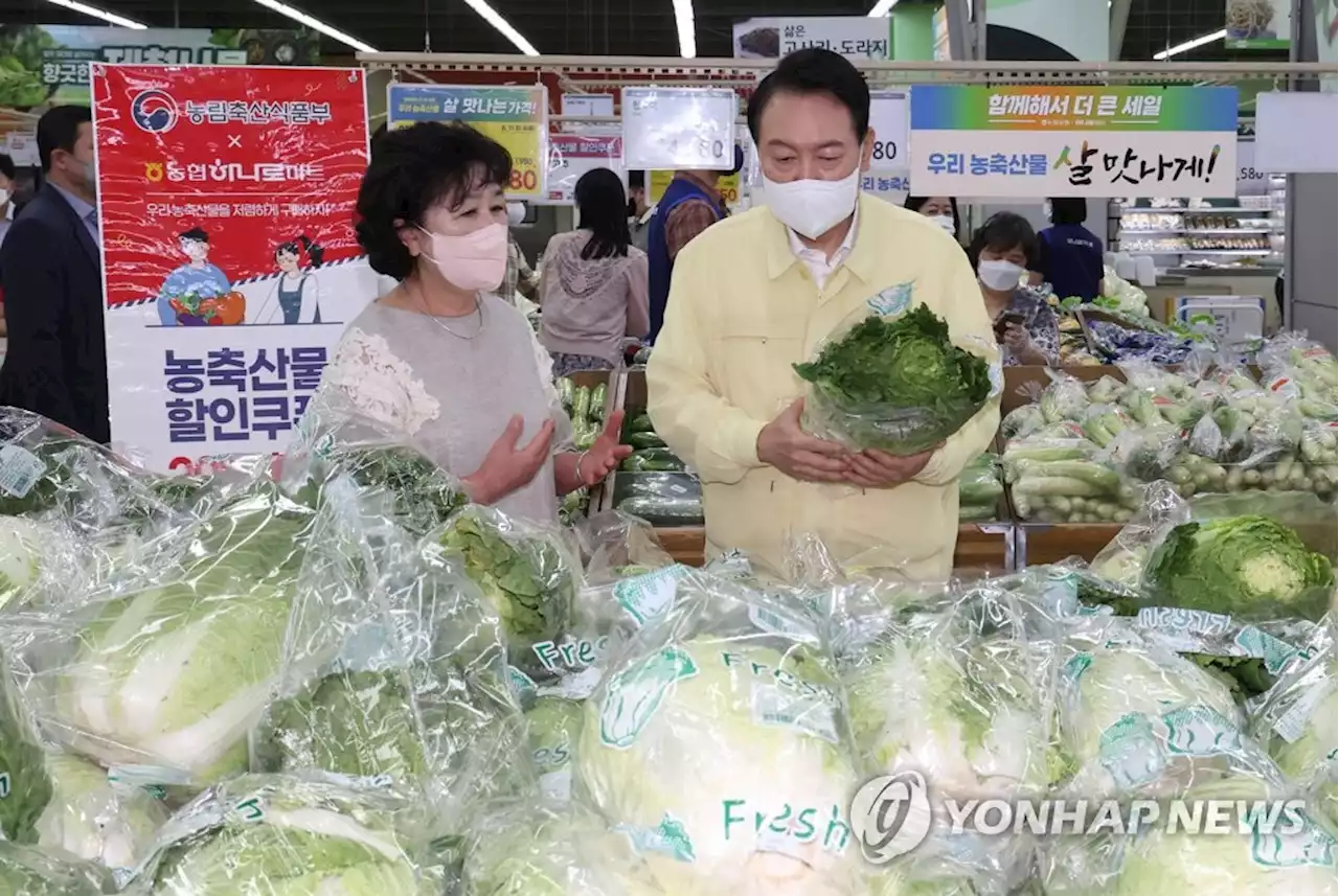 양재 하나로마트 둘러본 尹대통령 '명절 장바구니 물가 잡아야'(종합) | 연합뉴스