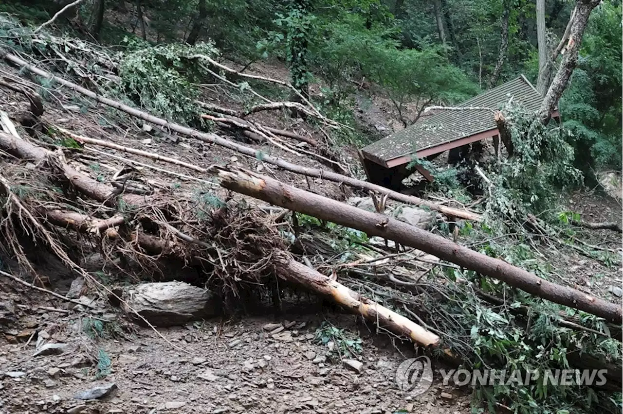 [집중호우] 매년 반복되는 침수·산사태 피해…뒷북행정 한몫 | 연합뉴스