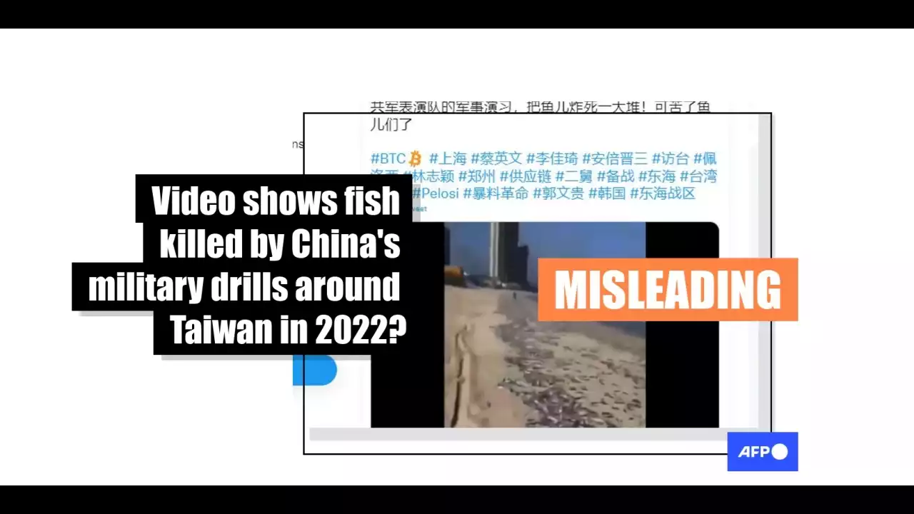 Old clip of dead fish on a beach misleadingly linked to China’s military drills around Taiwan in 2022