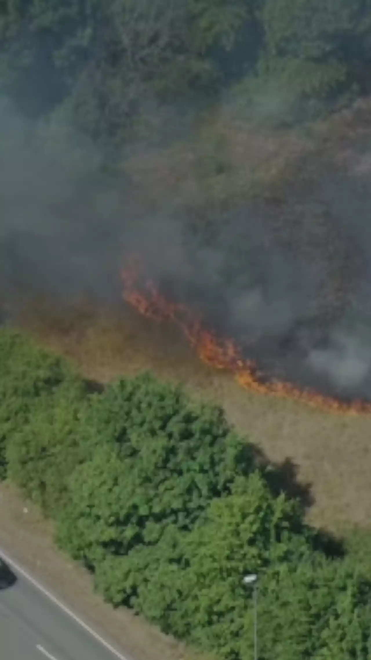 Fire crews tackle field blaze near busy road