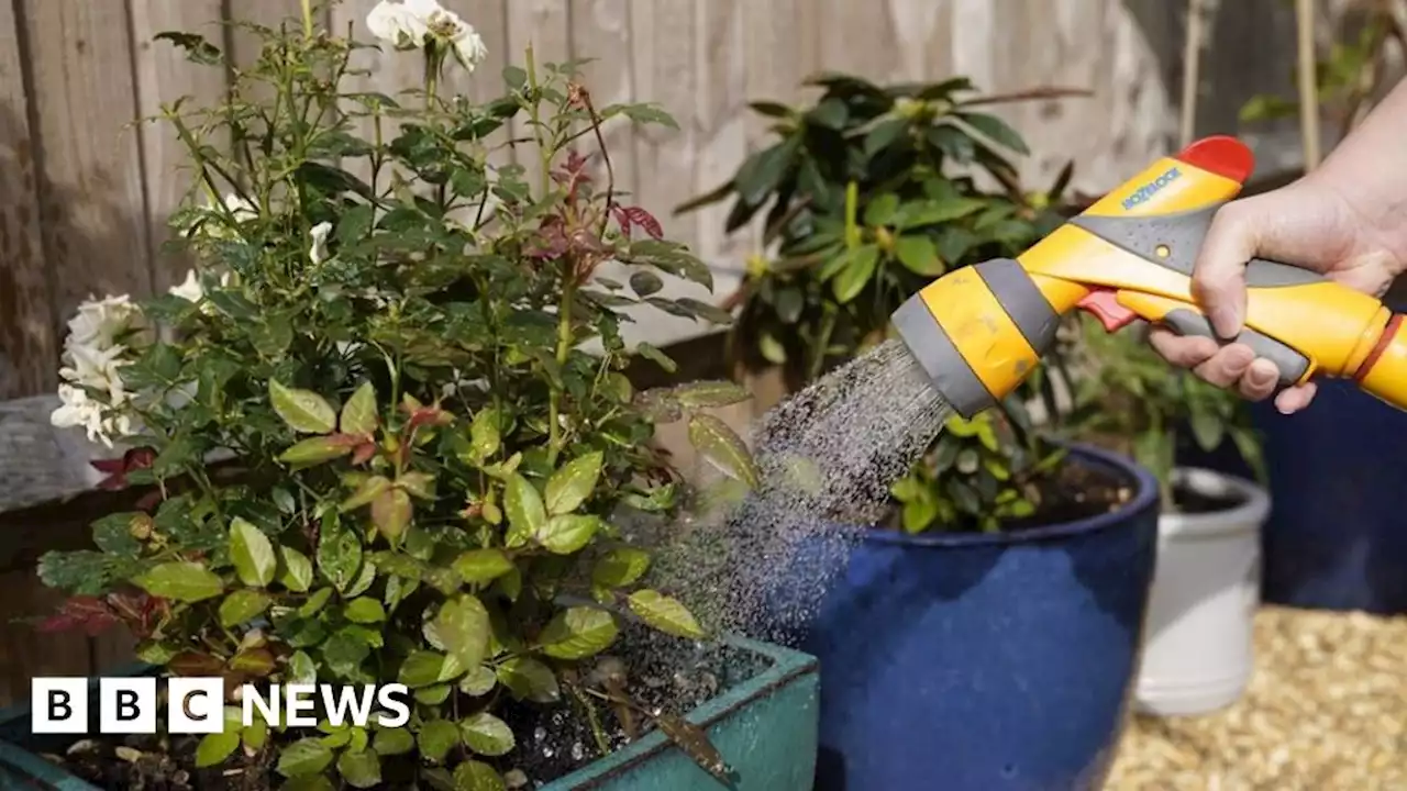 Yorkshire Water hosepipe ban to start on 26 August