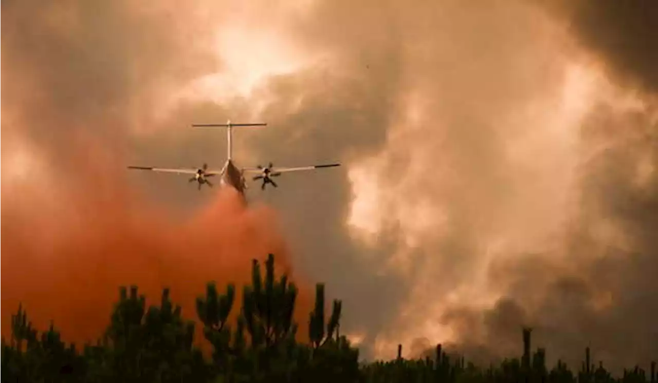 Lima Negara Eropa Ikut Perangi Kebakaran Hutan di Prancis