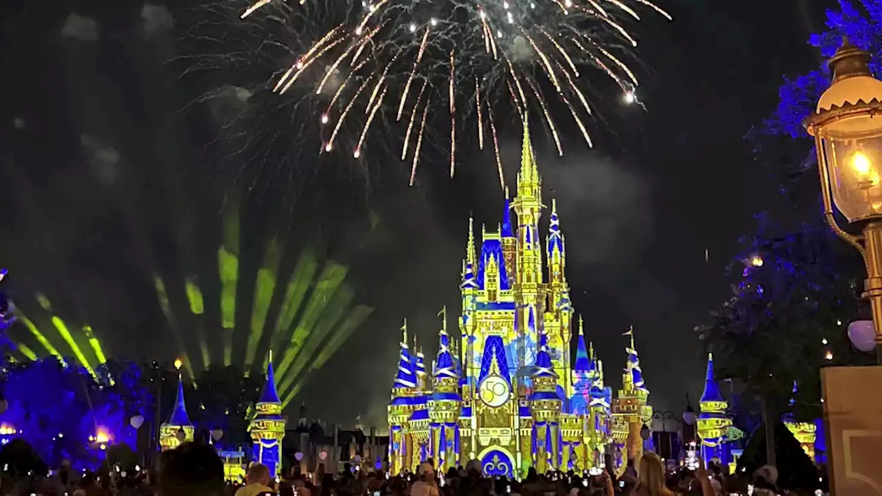 BVTV: Disney+ steam | Reuters Video