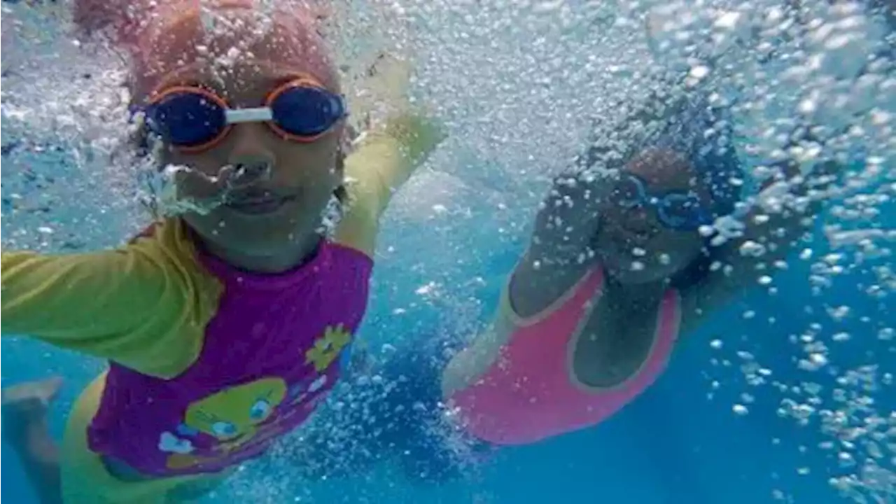 New registration system for swim lessons, other programs coming soon, city says | CBC News