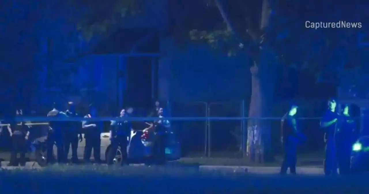 Chicago police shoot armed person during struggle in Back of the Yards