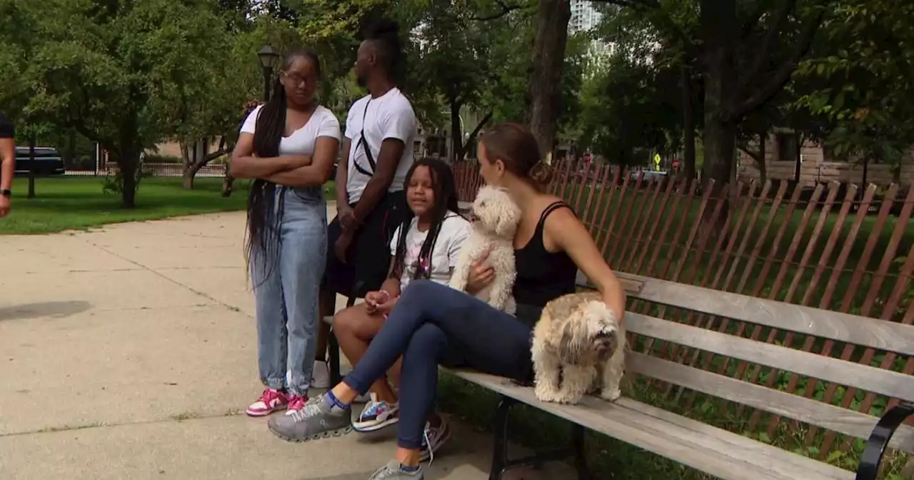 Good Samaritans help return dogs after being stolen in River North