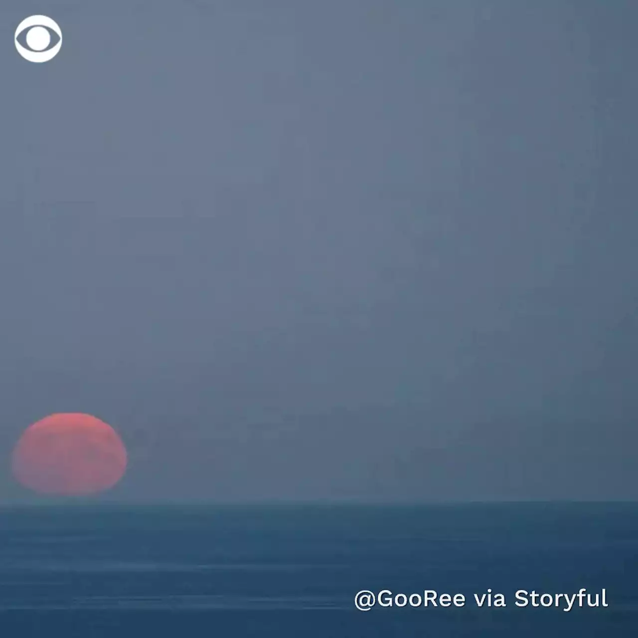 Sturgeon moon – the last supermoon of the year – captured in spectacular photos around the world