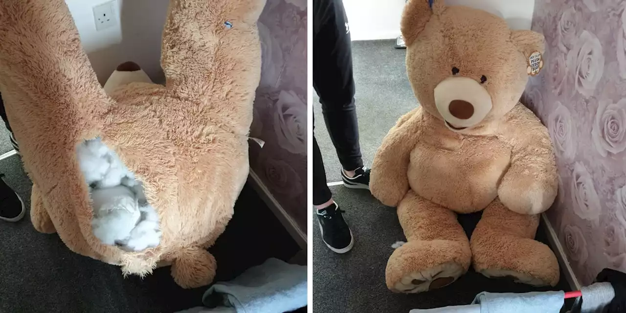 Car thief hides in giant teddy bear, sentenced to jail