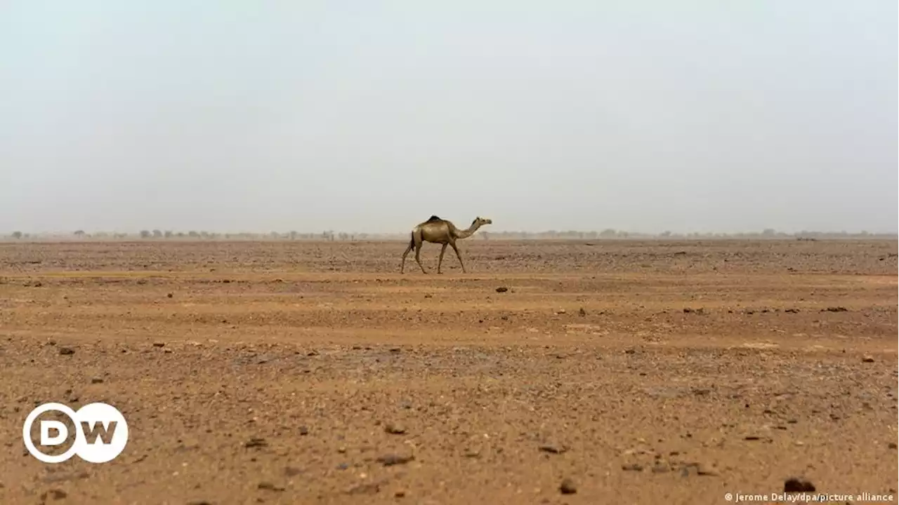 Pipeline-Projekt: Erdgas quer durch die Sahara nach Europa? | DW | 10.08.2022