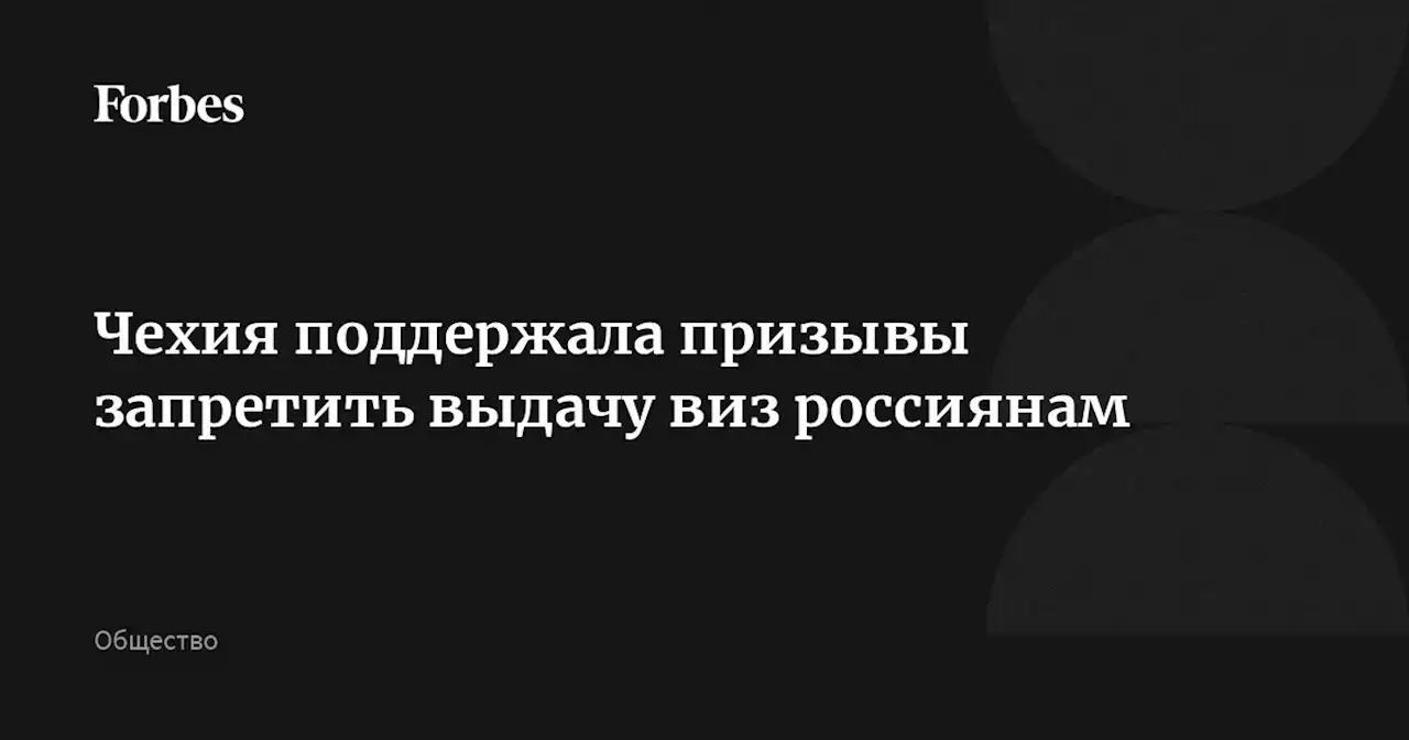 Чехия поддержала призывы запретить выдачу виз россиянам