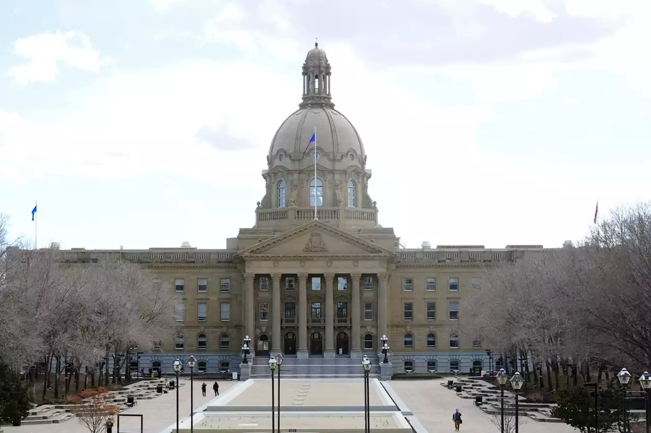 Opinion: Jason Kenney needs to focus on ending the essay controversy