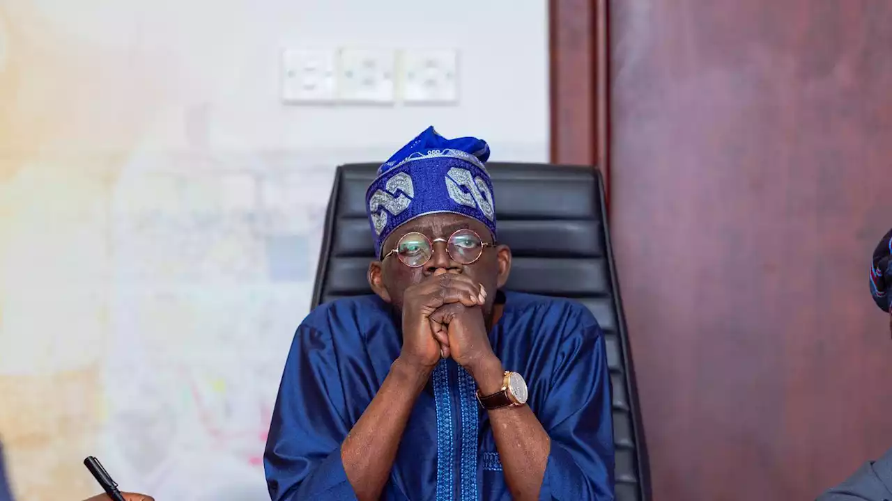 Tinubu’s presidency will accelerate national growth, development – Shinkafi | The Guardian Nigeria News - Nigeria and World News