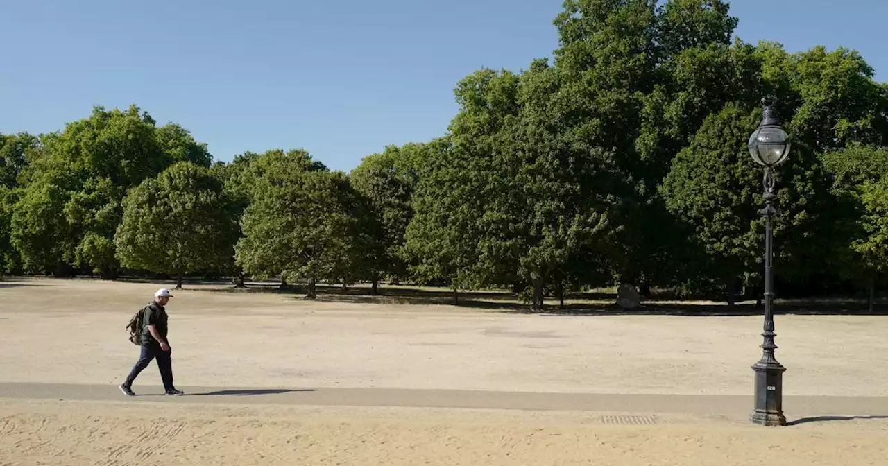 These Pictures Show England Is Scarily Dry Right Now As Drought Declared