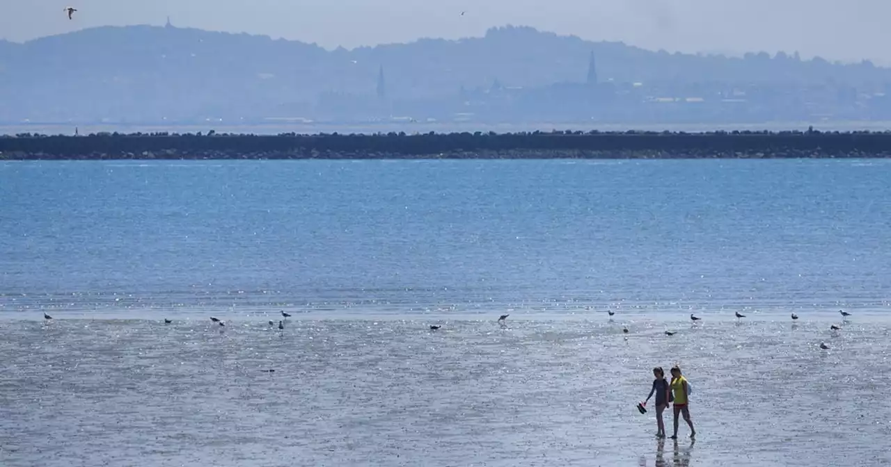 Met Eireann forecast 48 hours of near-record heat but nasty surprise hours away
