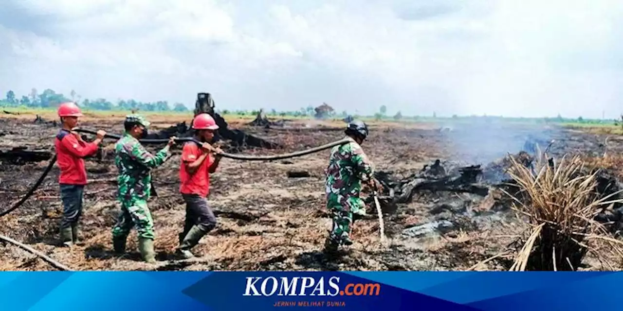 Karhutla di Rohul Riau, 4 Hektare Lahan Gambut Terbakar, Kepulan Asap Sulitkan Pemadaman