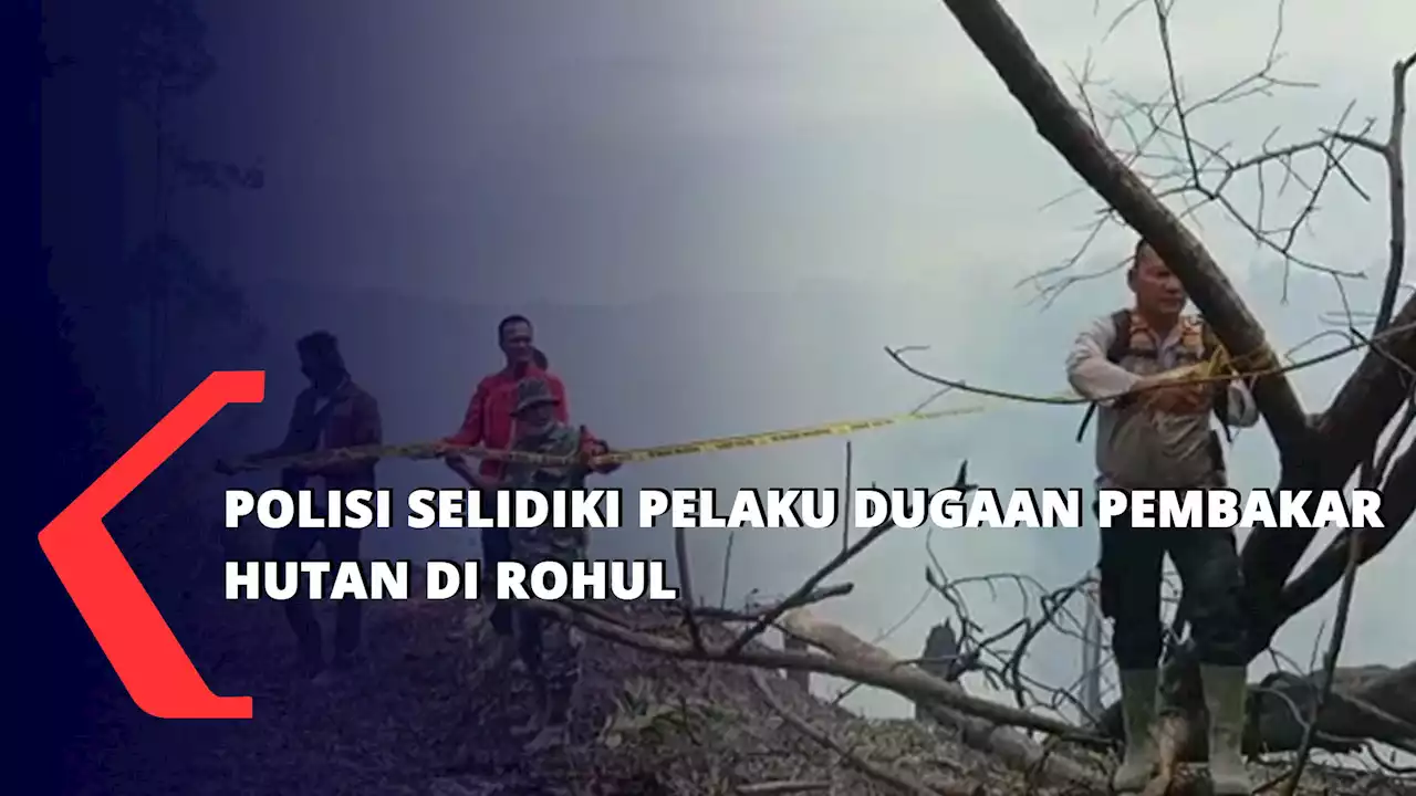 Polisi Selidiki Pelaku Dugaan Pembakar Hutan Di Rohul