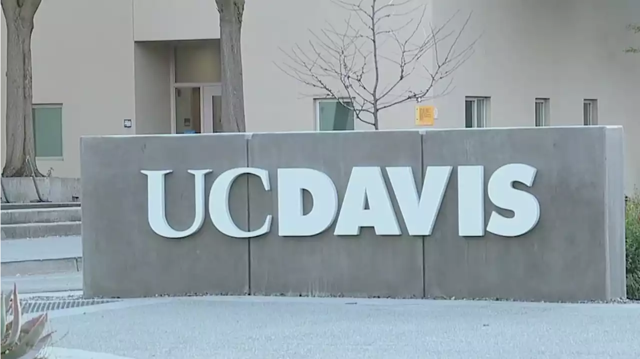 'Catastrophic failure:' 21K fish found dead at UC Davis