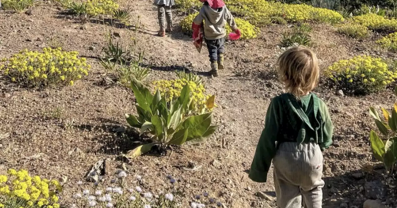 Toddler Strikes, Derailing Family's Plans To Thru-Hike Pacific Crest Trail