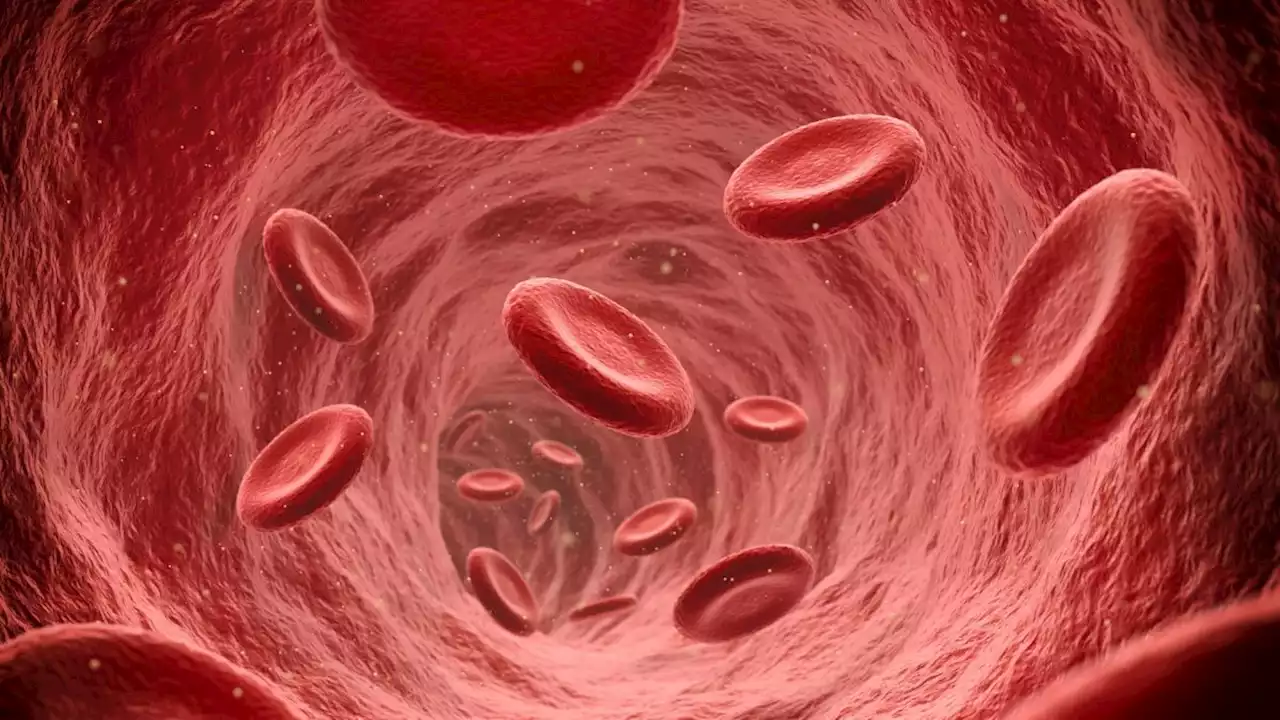 If blood is red, why do veins look bluish?