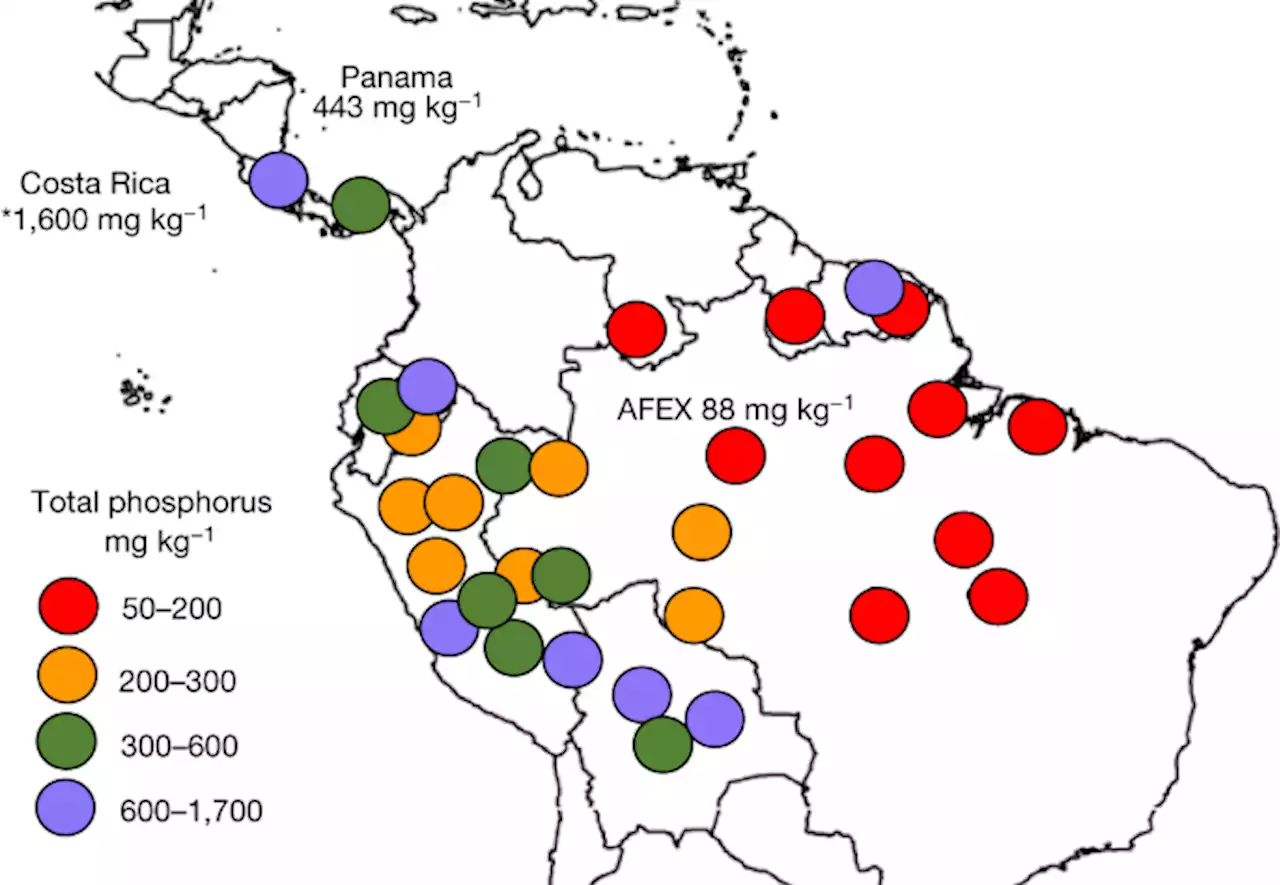 Direct evidence for phosphorus limitation on Amazon forest productivity - Nature