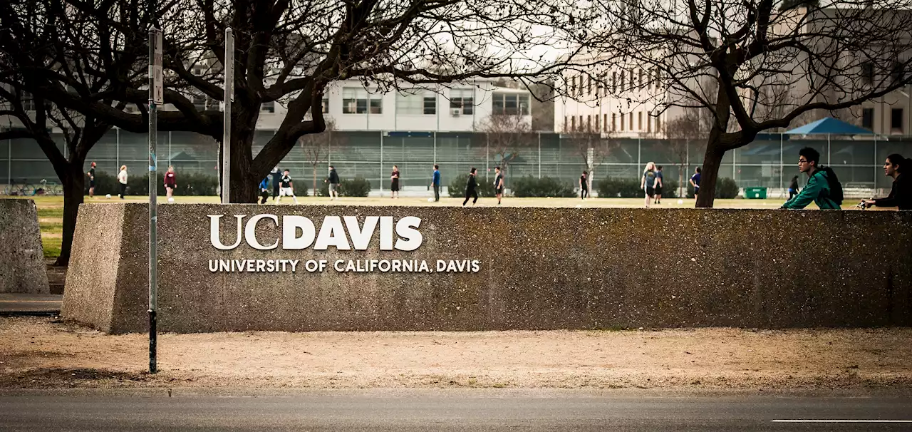 21,000 Fish Die in ‘Catastrophic Failure' at UC Davis