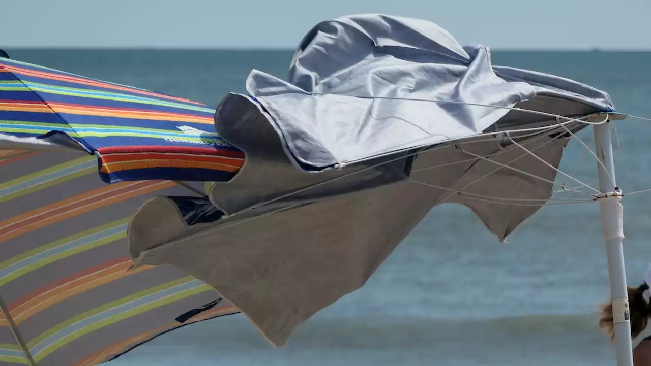 Woman Dies After Being Impaled by Flying Beach Umbrella in South Carolina