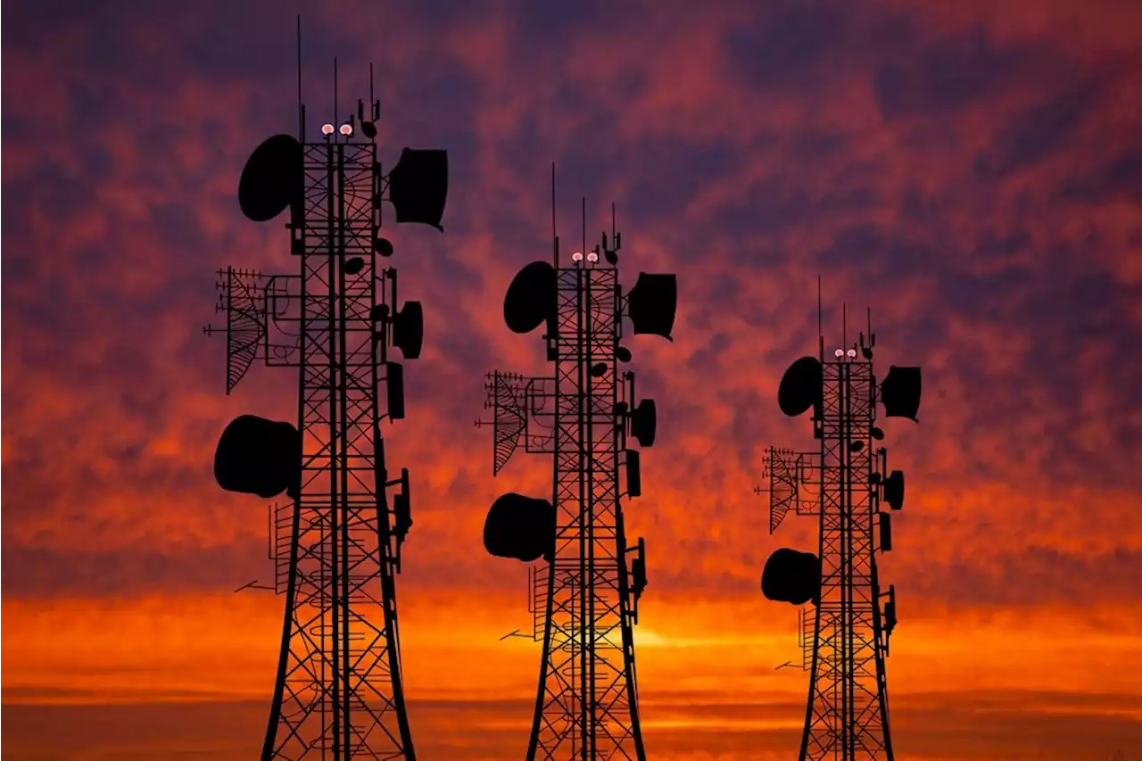 Rain in hot water over Telkom bid - but it could still beat MTN, analysts say | Fin24